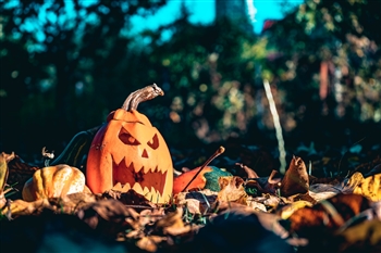 Halloween, Burton Constable Hall, Hull, East Yorkshire